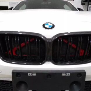 BMW M2 Competition F87 カーボンフロントグリル